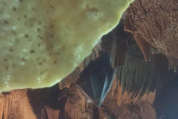 Exploration Hike of Al-Rayhan gallery