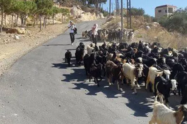 Exploration Hike of Al-Rayhan gallery