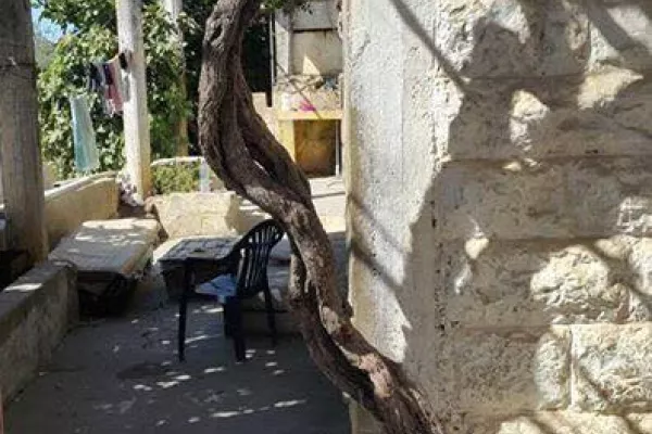 Exploration Hike of Al-Rayhan gallery