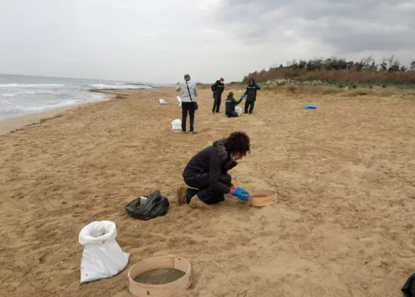 Oil Spill Response Project on the Beaches of Abbasyeish and Adloun