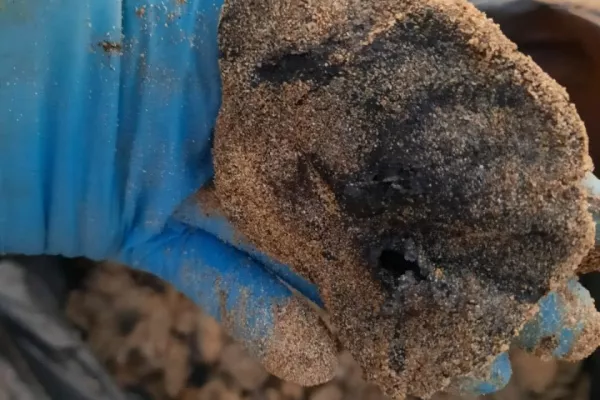 Oil Spill Response Project on the Beaches of Abbasyeish and Adloun gallery