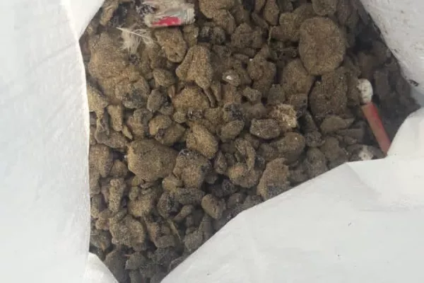 Oil Spill Response Project on the Beaches of Abbasyeish and Adloun gallery