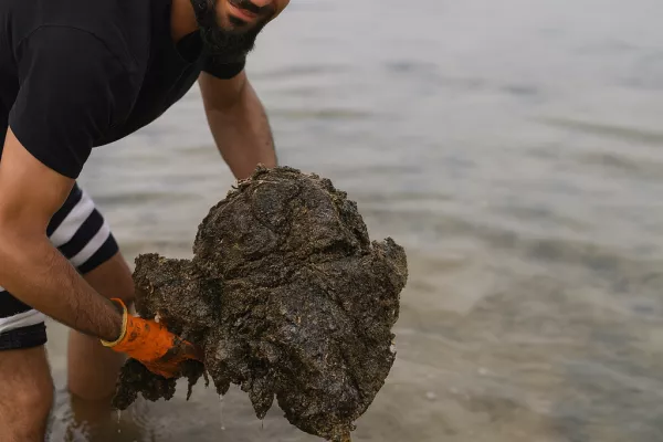 Oil Spill Response Project on the Beaches of Abbasyeish and Adloun gallery