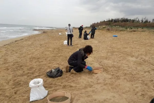 Oil Spill Response Project on the Beaches of Abbasyeish and Adloun gallery