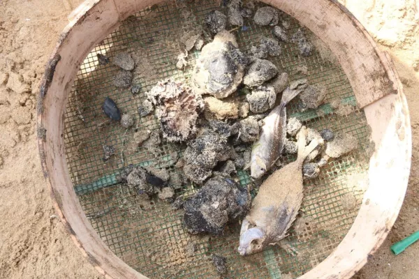 Oil Spill Response Project on the Beaches of Abbasyeish and Adloun gallery