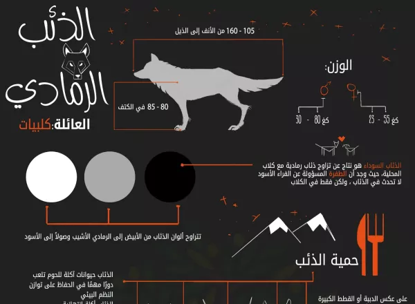 Grey Wolf Infographic