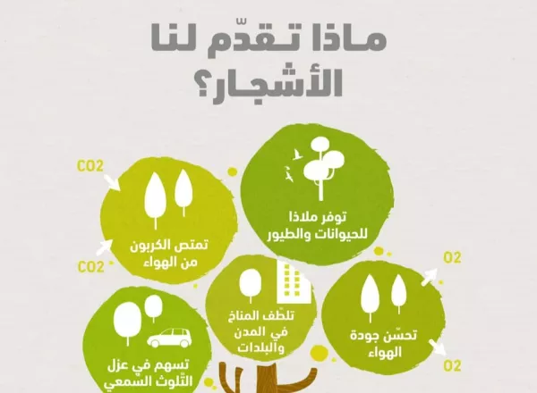 What do trees offer us?