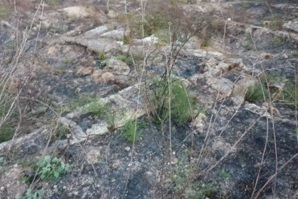 Protection of Hiram’s Tomb (Hnawei) gallery