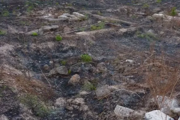 Protection of Hiram’s Tomb (Hnawei) gallery