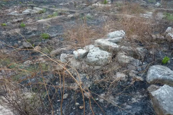 Protection of Hiram’s Tomb (Hnawei) gallery