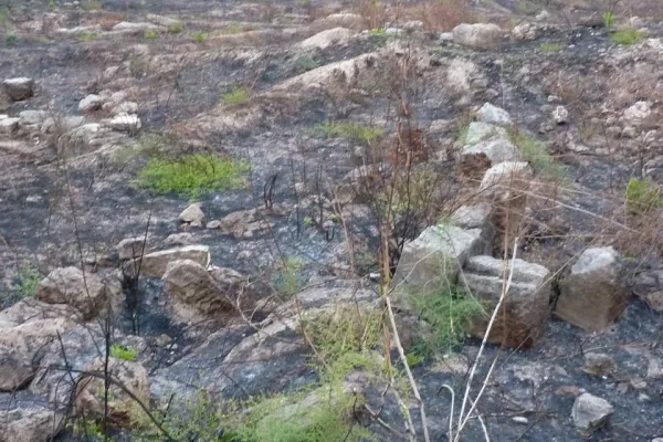 Protection of Hiram’s Tomb (Hnawei) gallery