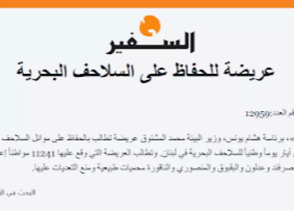 Proposal for National Sea Turtle Day