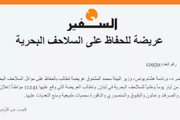 Proposal for National Sea Turtle Day gallery