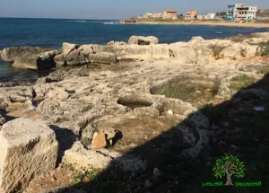 Adloun Coastal Reserve Proposal