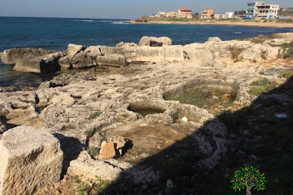 Adloun Coastal Reserve Proposal gallery