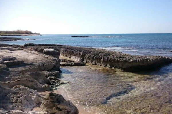 Adloun Coastal Reserve Proposal gallery