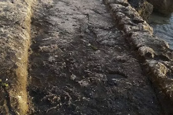 Adloun Coastal Reserve Proposal gallery