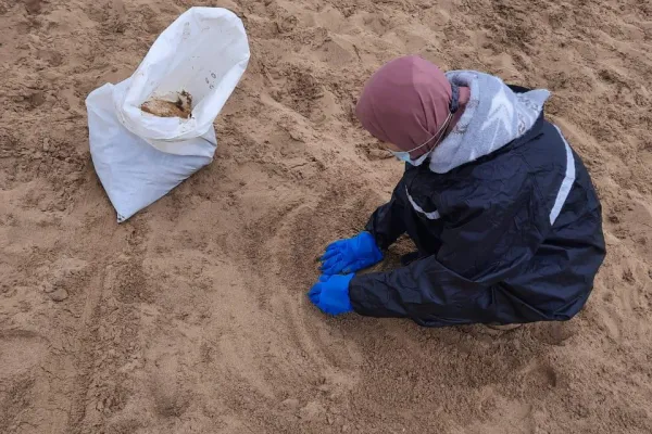 Campaign to Remove the Israeli Oil Spill on Al-Abbassiya Beach gallery