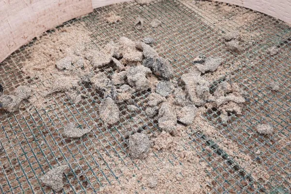 Campaign to Remove the Israeli Oil Spill on Al-Abbassiya Beach gallery