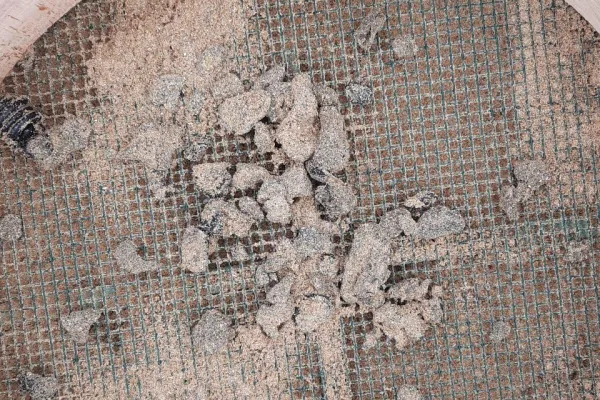 Campaign to Remove the Israeli Oil Spill on Al-Abbassiya Beach gallery