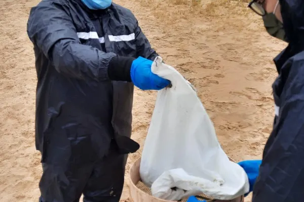 Campaign to Remove the Israeli Oil Spill on Al-Abbassiya Beach gallery