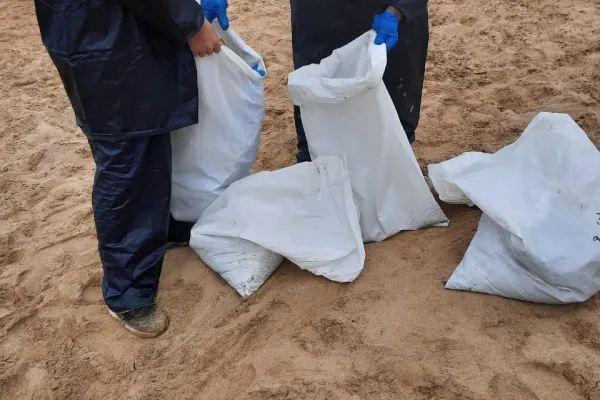 Campaign to Remove the Israeli Oil Spill on Al-Abbassiya Beach gallery