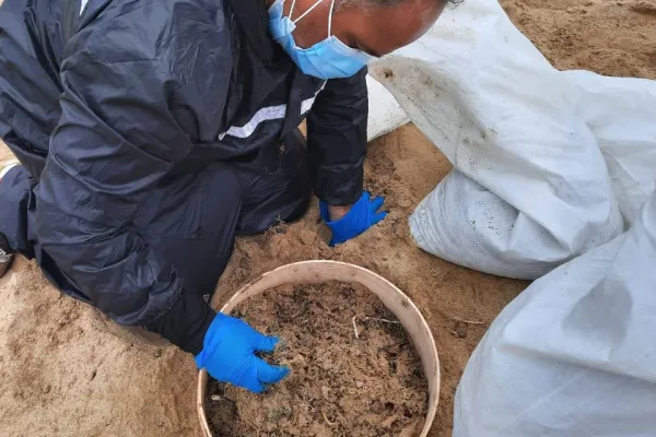 Campaign to Remove the Israeli Oil Spill on Al-Abbassiya Beach gallery