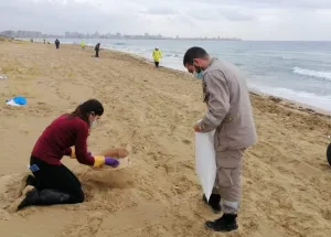 Campaign to Remove the Israeli Oil Spill on Al-Abbassiya Beach II
