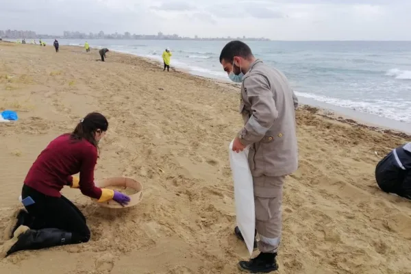 Campaign to Remove the Israeli Oil Spill on Al-Abbassiya Beach II gallery
