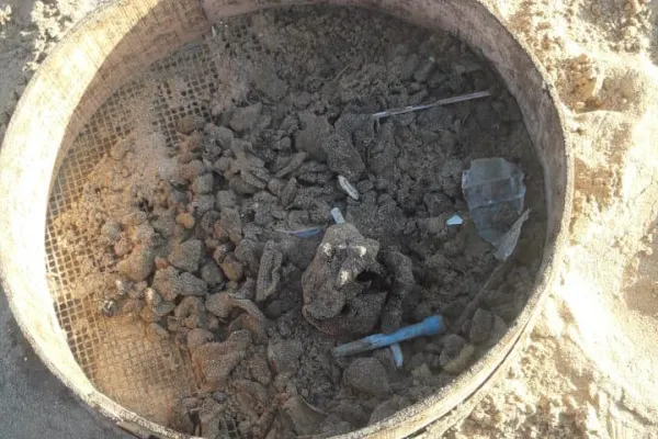 Campaign to Remove the Israeli Oil Spill on Al-Abbassiya Beach III gallery