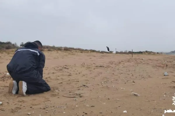 Campaign to Remove the Israeli Oil Spill on Al-Abbassiya Beach gallery