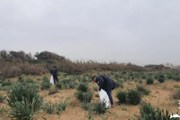 Campaign to Remove the Israeli Oil Spill on Al-Abbassiya Beach gallery