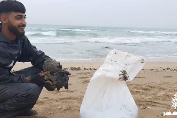 Campaign to Remove the Israeli Oil Spill on Al-Abbassiya Beach gallery