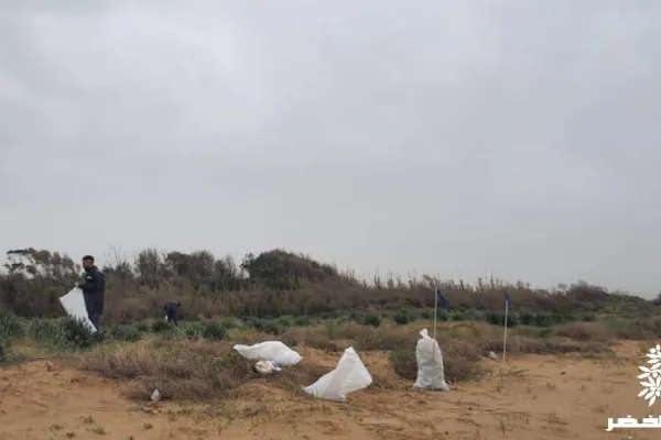 Campaign to Remove the Israeli Oil Spill on Al-Abbassiya Beach gallery