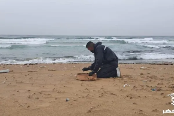 Campaign to Remove the Israeli Oil Spill on Al-Abbassiya Beach gallery