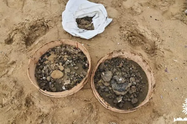 Campaign to Remove the Israeli Oil Spill on Al-Abbassiya Beach gallery