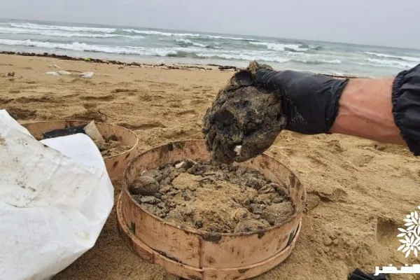 Campaign to Remove the Israeli Oil Spill on Al-Abbassiya Beach gallery