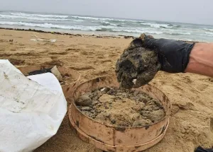 Campaign to Remove the Israeli Oil Spill on Al-Abbassiya Beach