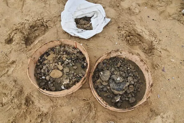 Campaign to Remove the Israeli Oil Spill on Al-Abbassiya Beach gallery