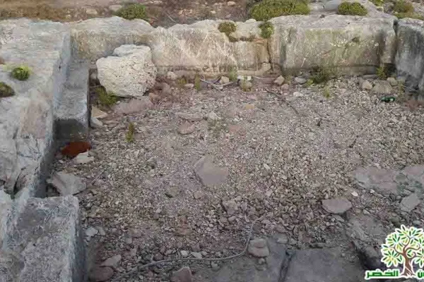 Adloun Beach: Rock-Cut Salt Pans and Basins, and a Haven for Sea Turtles gallery