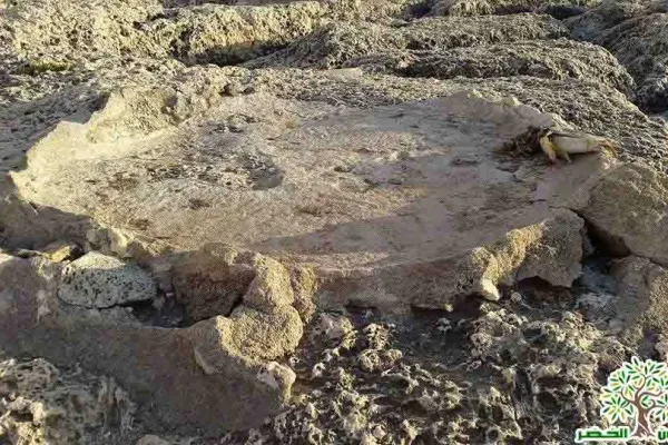 Adloun Beach: Rock-Cut Salt Pans and Basins, and a Haven for Sea Turtles gallery