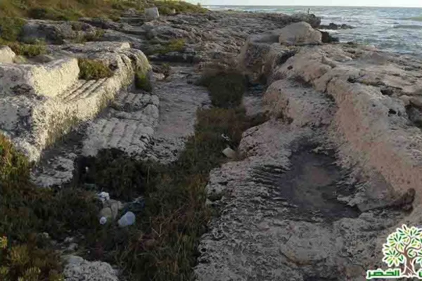 Adloun Beach: Rock-Cut Salt Pans and Basins, and a Haven for Sea Turtles gallery