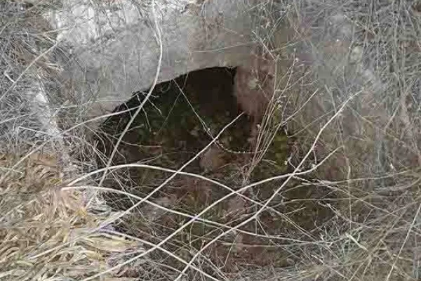 Adloun Beach: Rock-Cut Salt Pans and Basins, and a Haven for Sea Turtles gallery