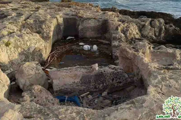 Adloun Beach: Rock-Cut Salt Pans and Basins, and a Haven for Sea Turtles gallery