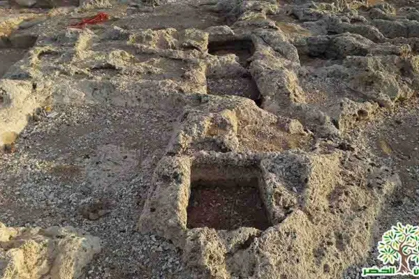 Adloun Beach: Rock-Cut Salt Pans and Basins, and a Haven for Sea Turtles gallery