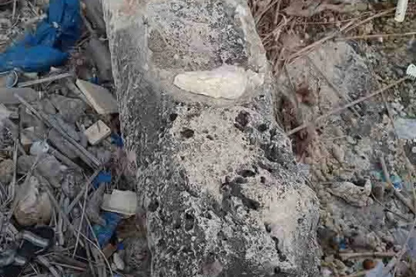 Adloun Beach: Rock-Cut Salt Pans and Basins, and a Haven for Sea Turtles gallery