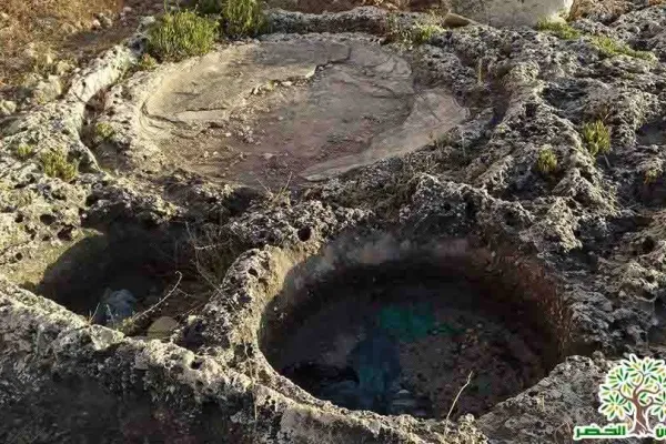 Adloun Beach: Rock-Cut Salt Pans and Basins, and a Haven for Sea Turtles gallery
