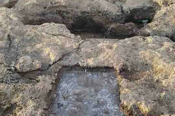 Adloun Beach: Rock-Cut Salt Pans and Basins, and a Haven for Sea Turtles gallery