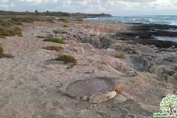 Adloun Beach: Rock-Cut Salt Pans and Basins, and a Haven for Sea Turtles gallery