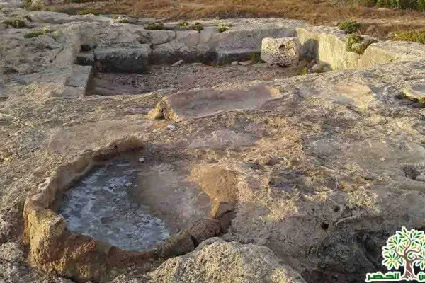 Adloun Beach: Rock-Cut Salt Pans and Basins, and a Haven for Sea Turtles gallery